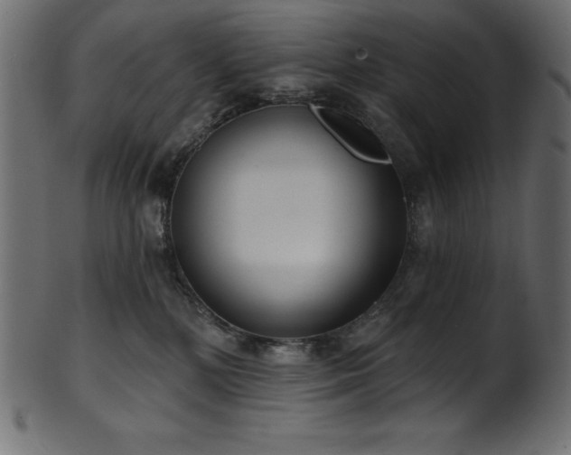 X0000102040232200807181519