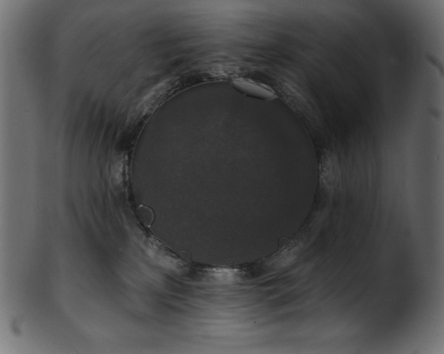 X0000102040233200807181519