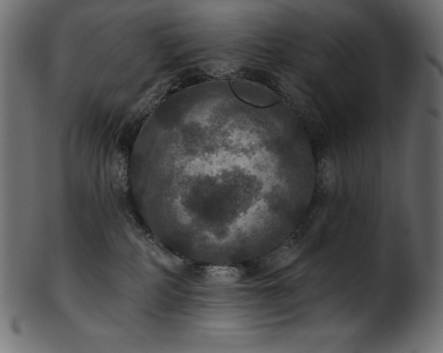 X0000102040234200807181519