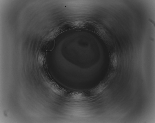 X0000102040235200807181519