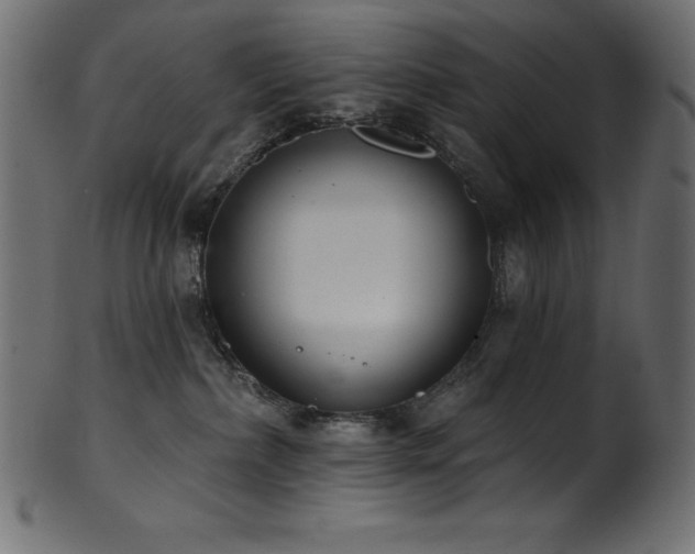 X0000102040236200807181519