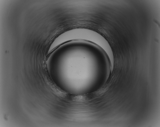 X0000102040237200807181519