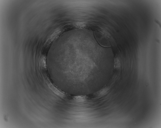 X0000102040238200807181519