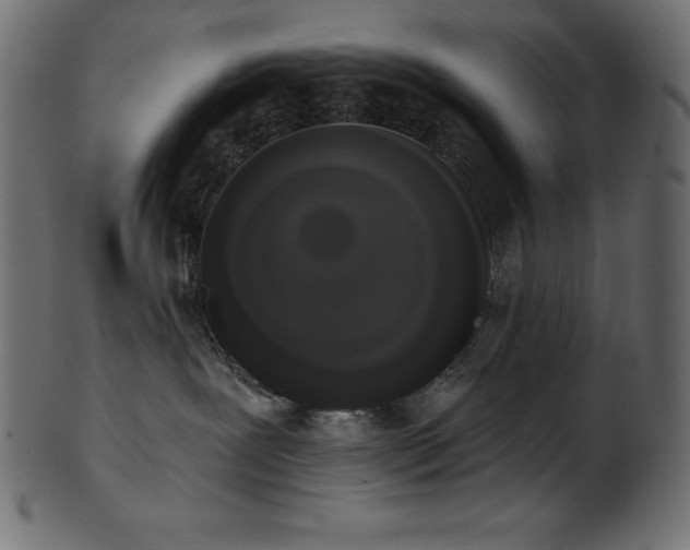 X0000102040239200807181519