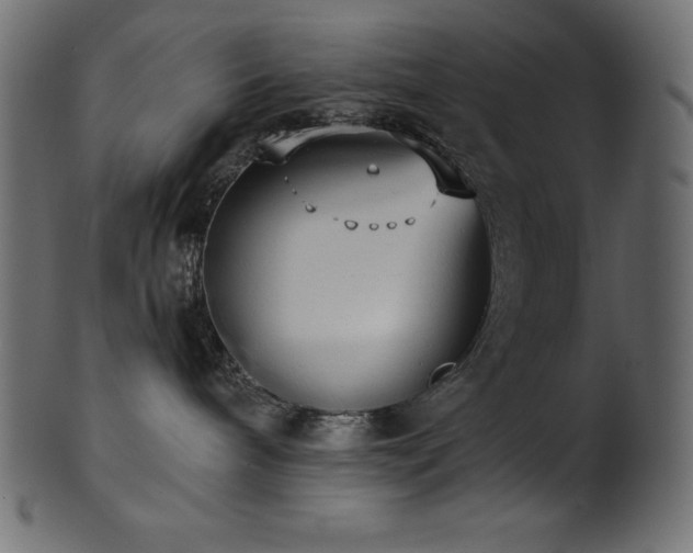 X0000102040240200807181519