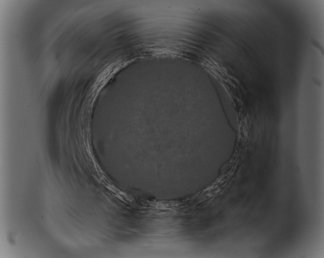 X0000102040241200807181518