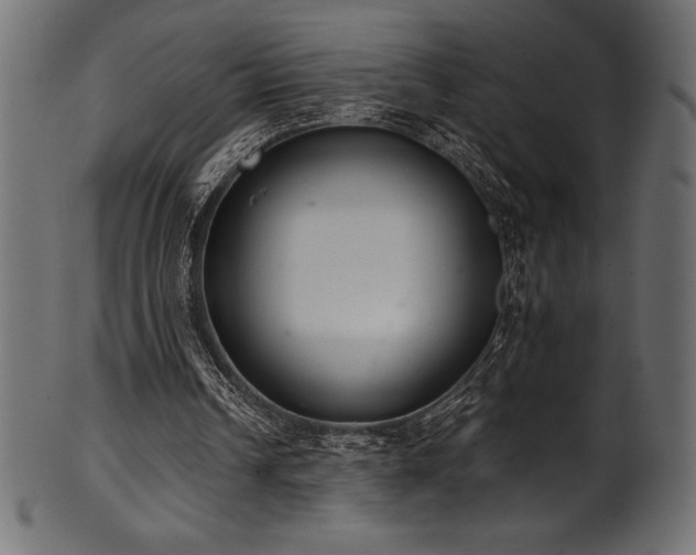 X0000102040242200807181518