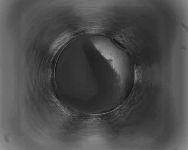 X0000102040243200807181518