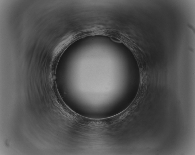 X0000102040245200807181518