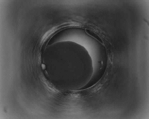 X0000102040247200807181519