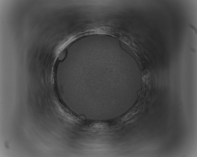 X0000102040248200807181519