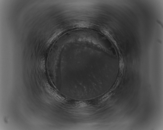 X0000102040249200807181519