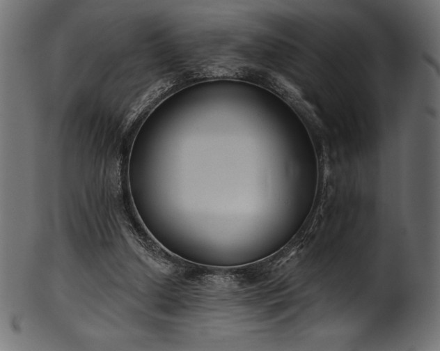 X0000102040250200807181519