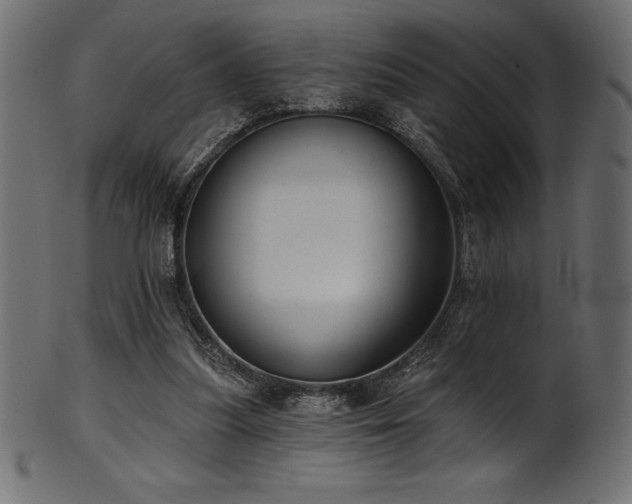 X0000102040251200807181519