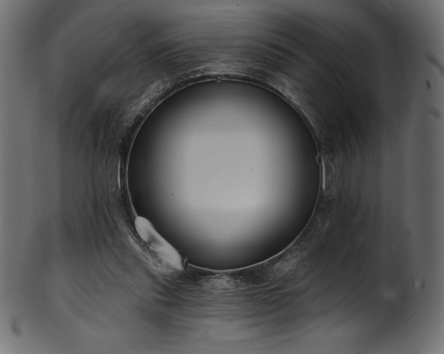 X0000102040253200807181519