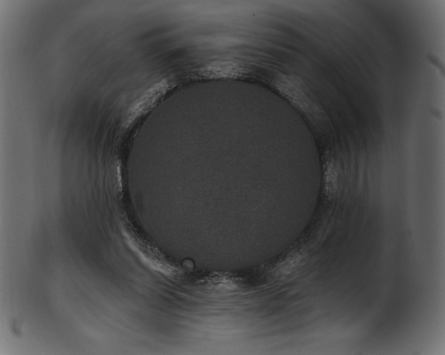 X0000102040254200807181519