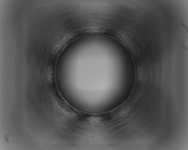 X0000102040255200807181519