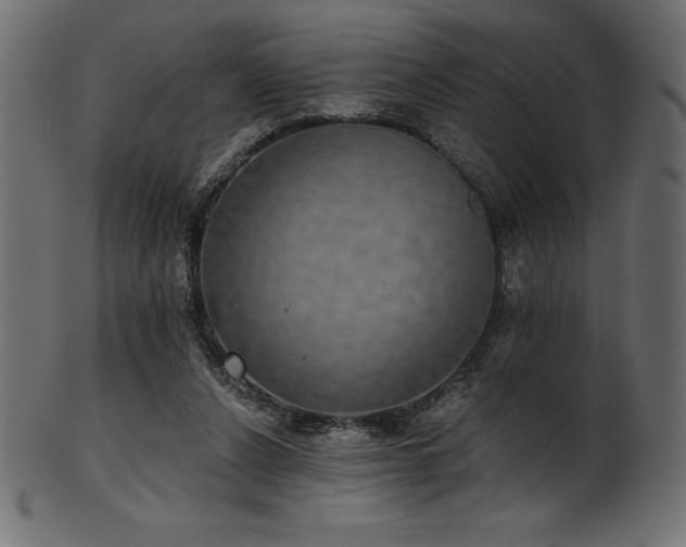 X0000102040256200807181519