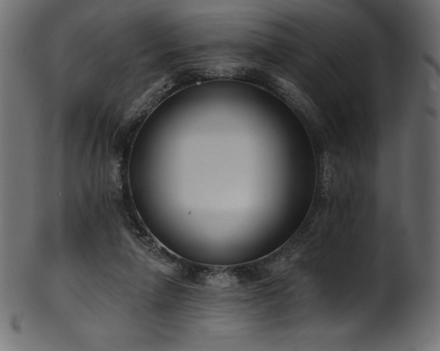 X0000102040258200807181519