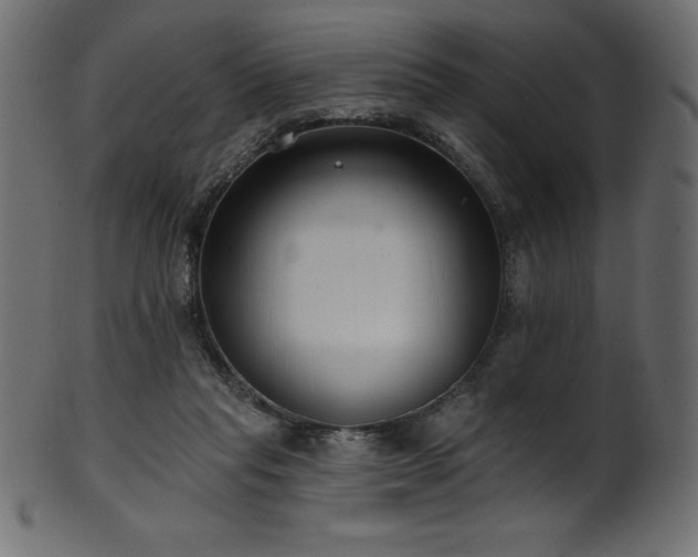 X0000102040261200807181519