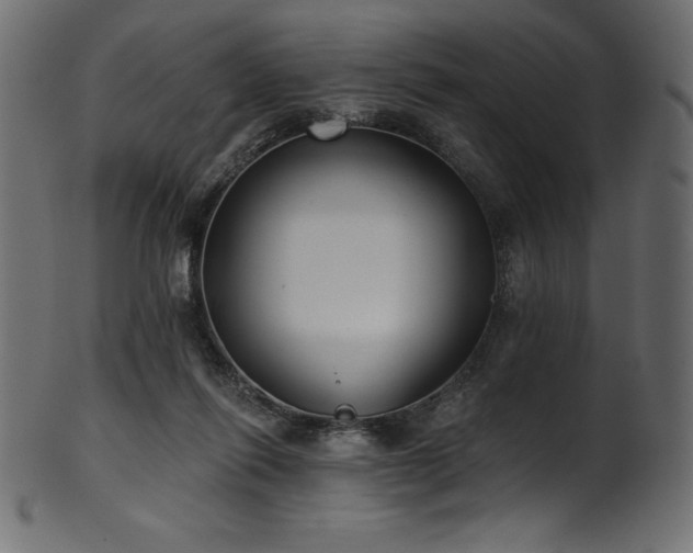 X0000102040262200807181519