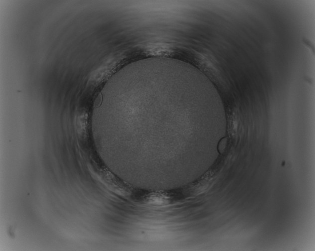 X0000102040263200807181519