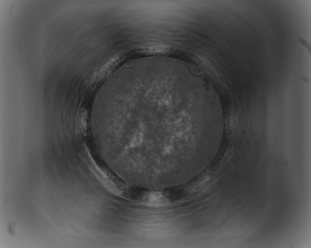 X0000102040264200807181519