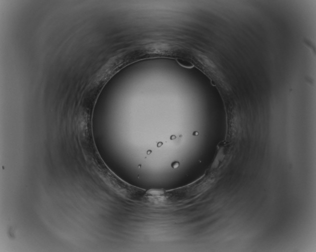 X0000102040265200807181519