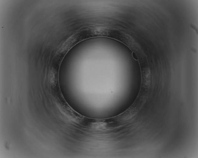 X0000102040266200807181519