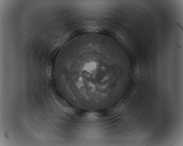 X0000102040268200807181519