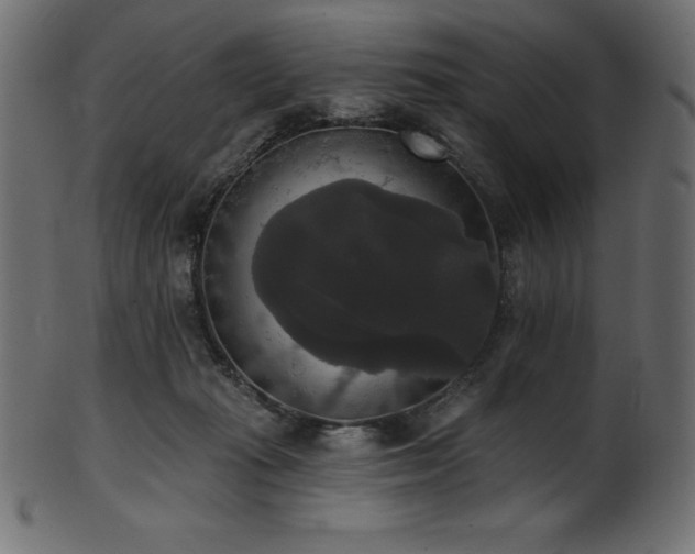 X0000102040269200807181519