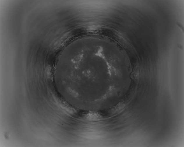 X0000102040270200807181519