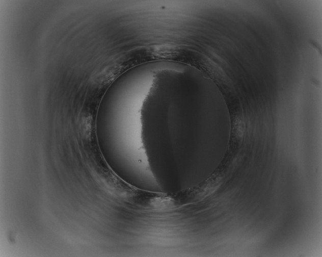 X0000102040271200807181519