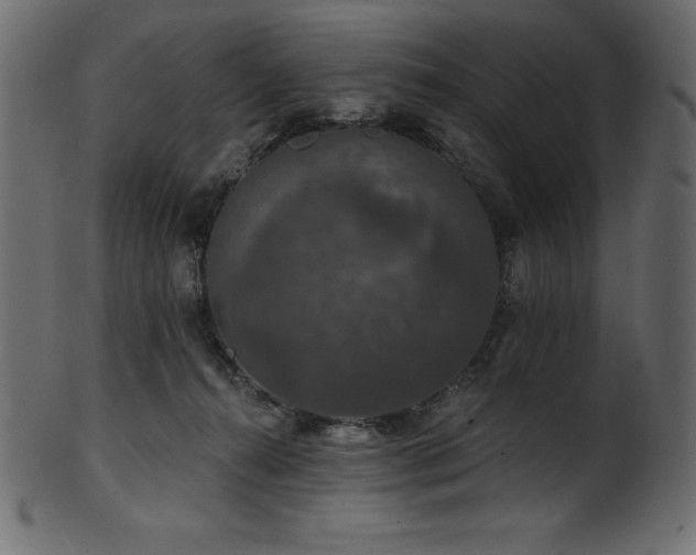 X0000102040272200807181519