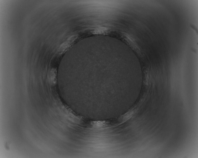 X0000102040273200807181519