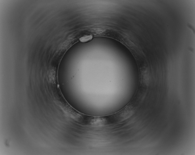 X0000102040274200807181519