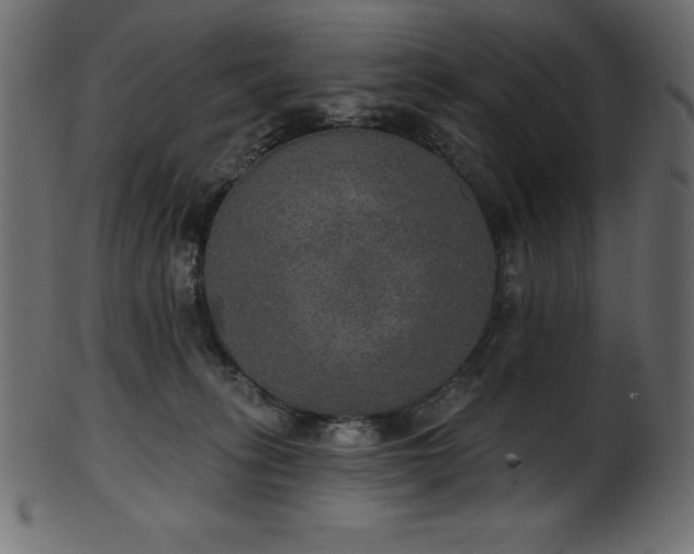 X0000102040275200807181519