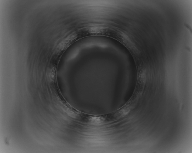 X0000102040277200807181519