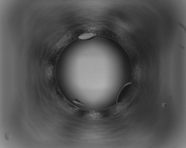 X0000102040278200807181519