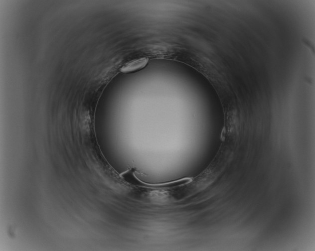 X0000102040279200807181519