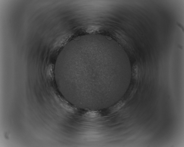 X0000102040280200807181519