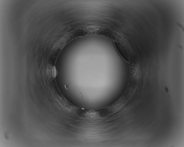 X0000102040283200807181519