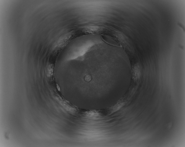 X0000102040284200807181519