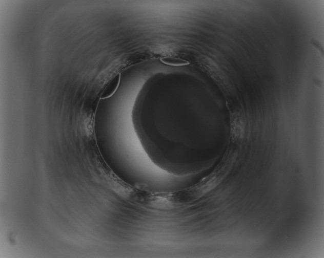 X0000102040285200807181519