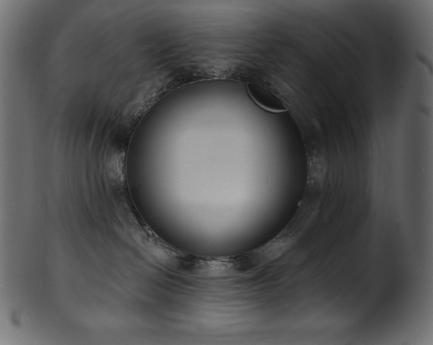 X0000102040286200807181519