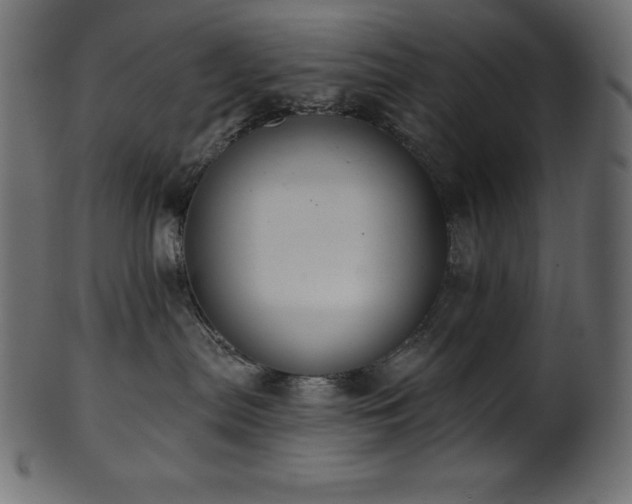 X0000102040287200807181519