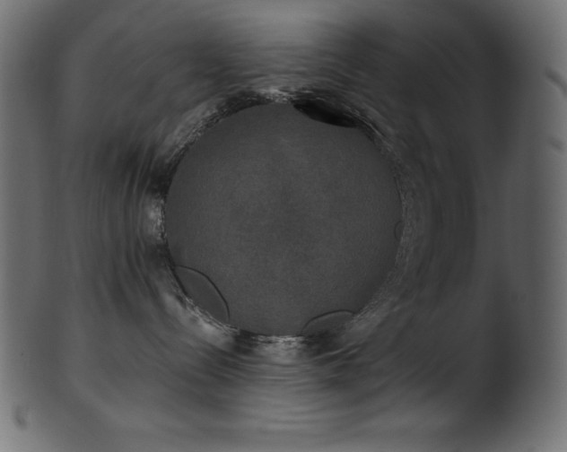 X0000102040288200807181519