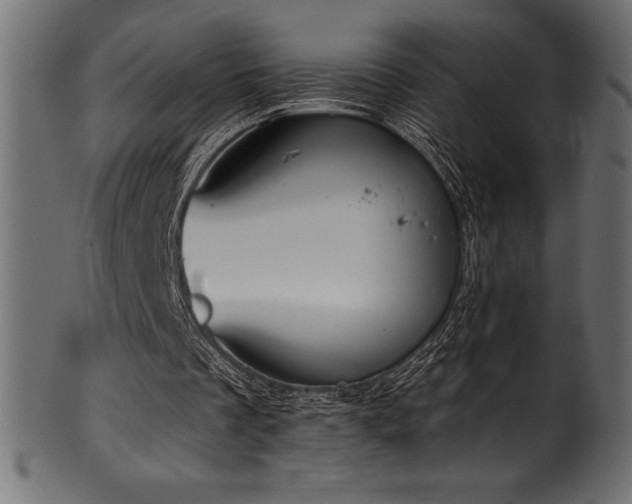 X0000102040289200807181518