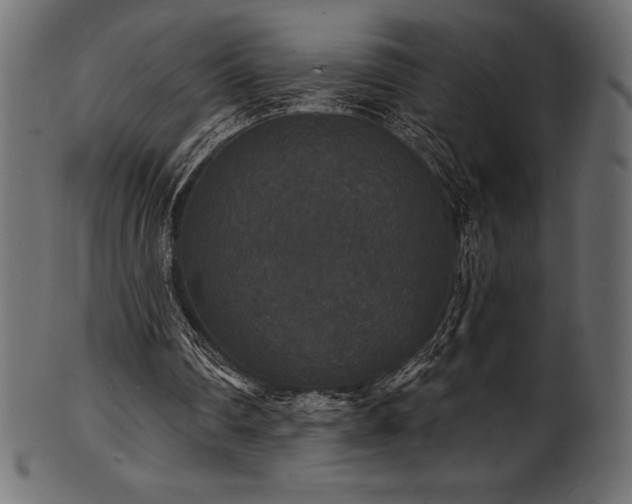 X0000102040290200807181518