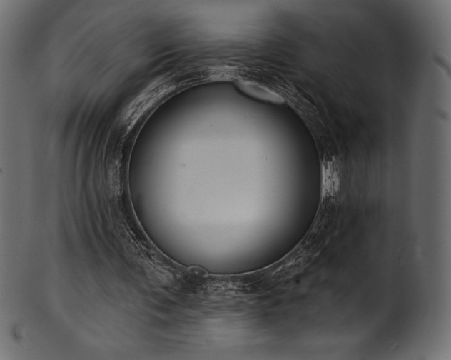 X0000102040291200807181518